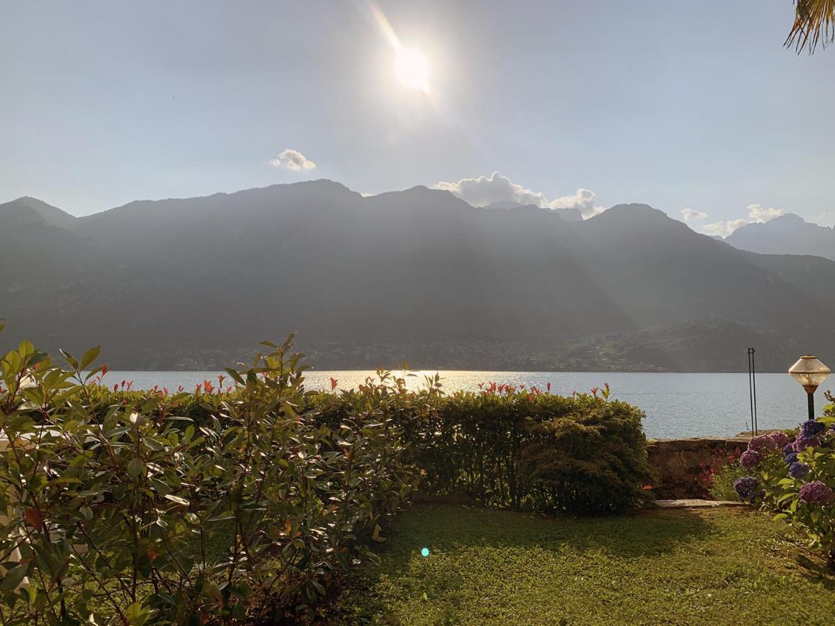 Apartamento Terrace On The Lake Oliveto Lario Exterior foto